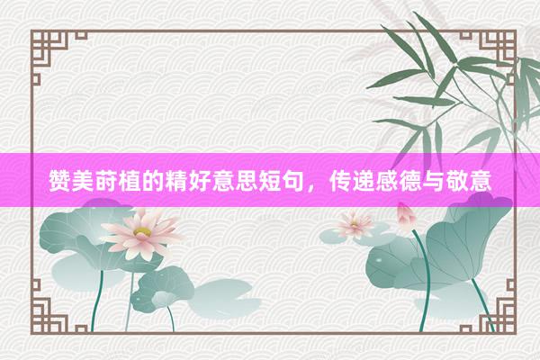 赞美莳植的精好意思短句，传递感德与敬意
