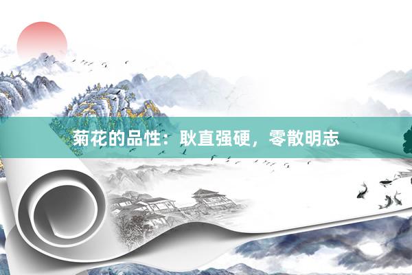 菊花的品性：耿直强硬，零散明志